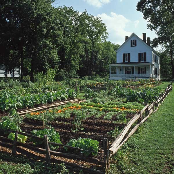 Farm Layout BackyardFarmingLife