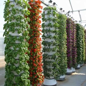 vertical farming